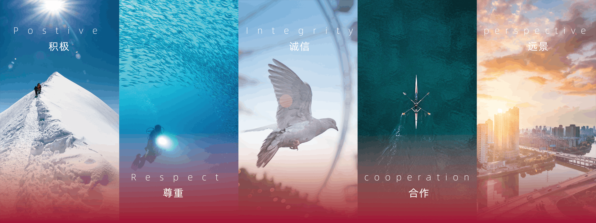 積極，尊重，誠(chéng)信，合作，遠(yuǎn)景