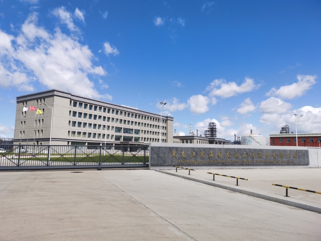 32 黑龍江省大慶市大同區林源鎮海國龍油550項目