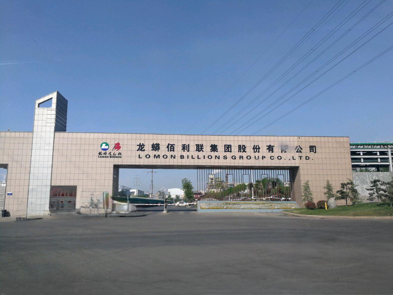 P . 河南龍蟒佰利聯